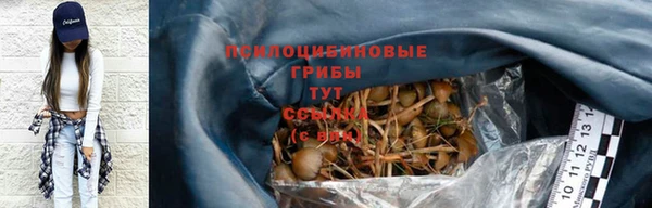 таблы Карпинск