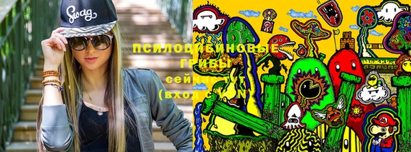таблы Карпинск