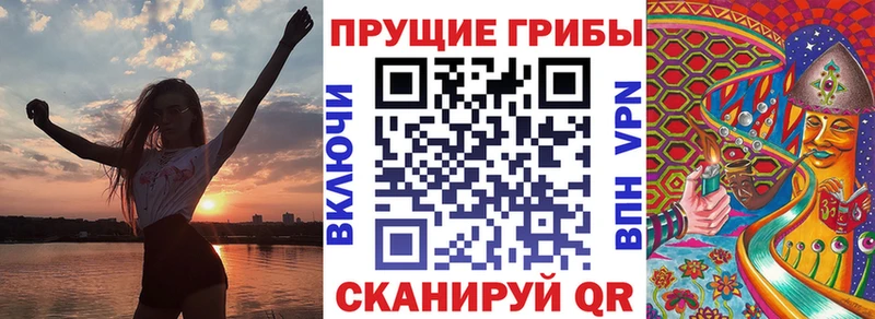 Купить  Щёлково  Псилоцибиновые грибы Psilocybe 
